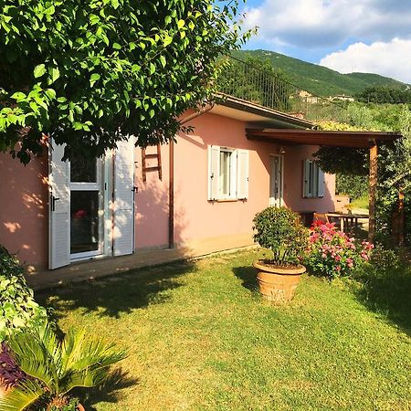 Assisi Villa Randr San Vitale Dış mekan fotoğraf
